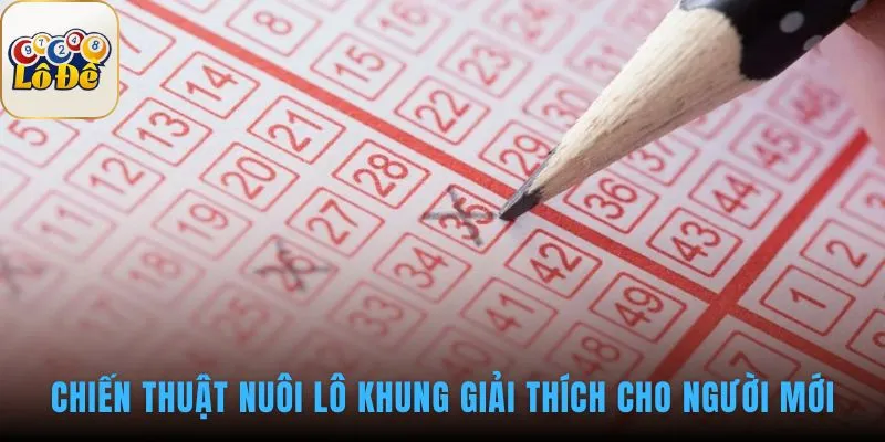 Chiến thuật nuôi lô khung là quy trình 4 bước có phương pháp